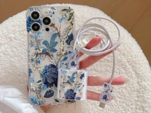 conjunto de funda de teléfono y funda de cargador para iphone