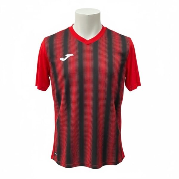 Camiseta tecnica JOMA- Diseño degradado de rayas verticales.